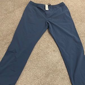 J.Crew size large pants